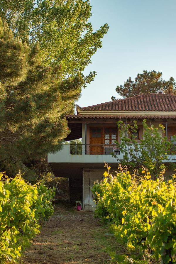 Koróni Anastasia Apartments מראה חיצוני תמונה